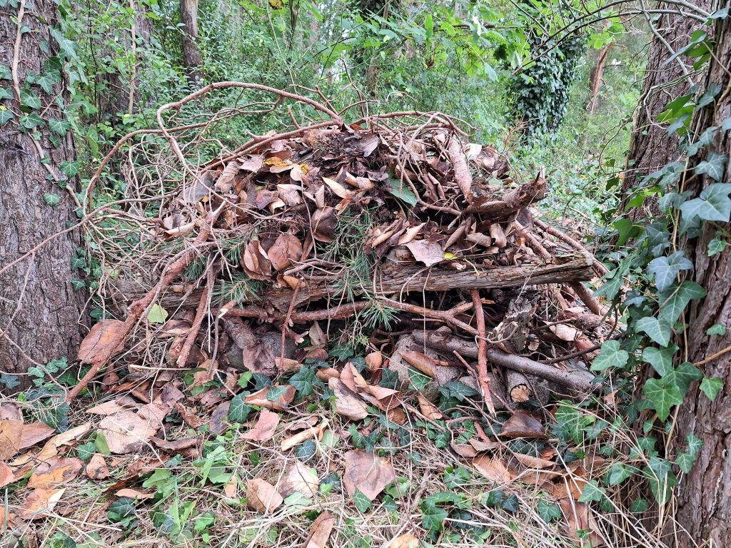 Eine Igel Schlafhütte aus Steinen, Ästen, Reisig und Laub. Etwas abseits der Wiese geschützt zwischen zwei Bäumen