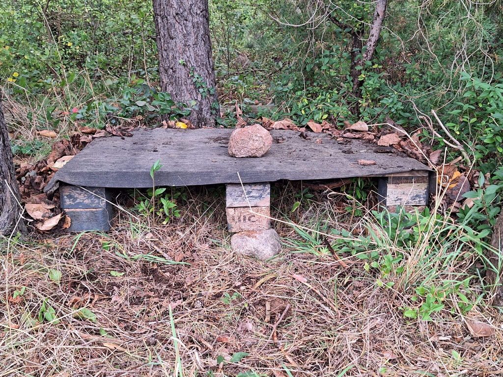 Ein fertiges Igel-Futterhaus aus Europaletten und Dachpappe. Zur Beschwerung liegt auf dem Dach ein Feldstein