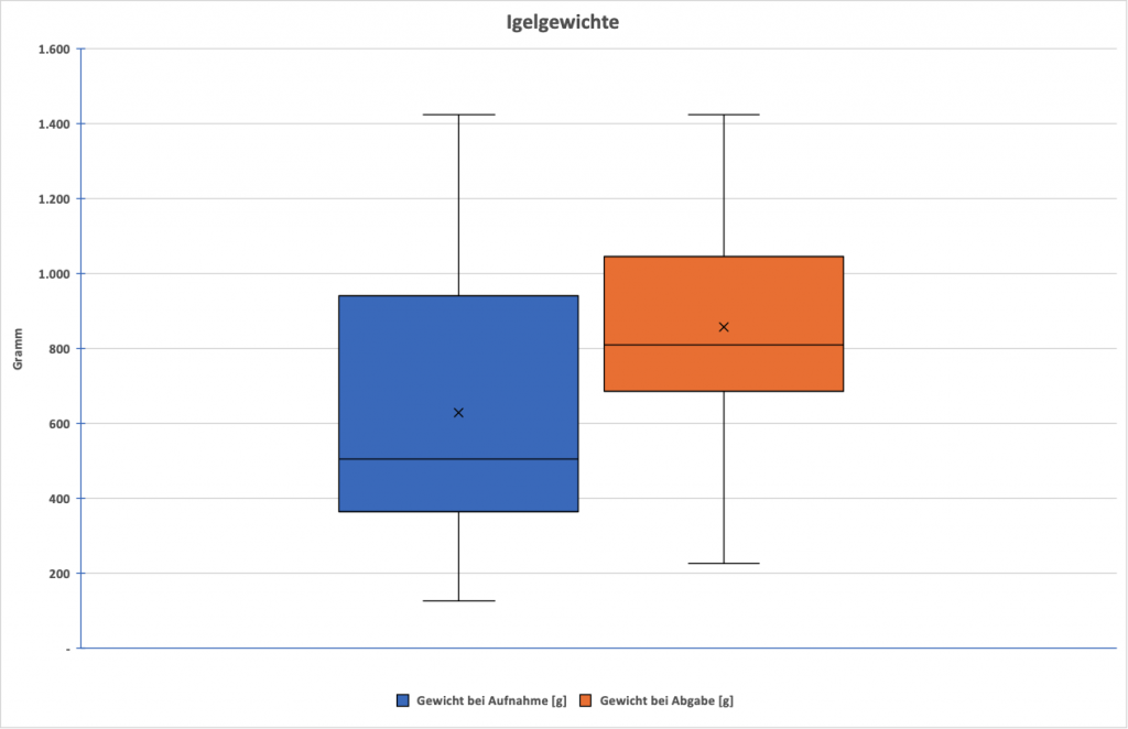 Ein Kastendiagramm welches die Gewichtsverteilung der Igel im Jahr 2024 bei Aufnahme und bei Abgabe im Vergleich anzeigt